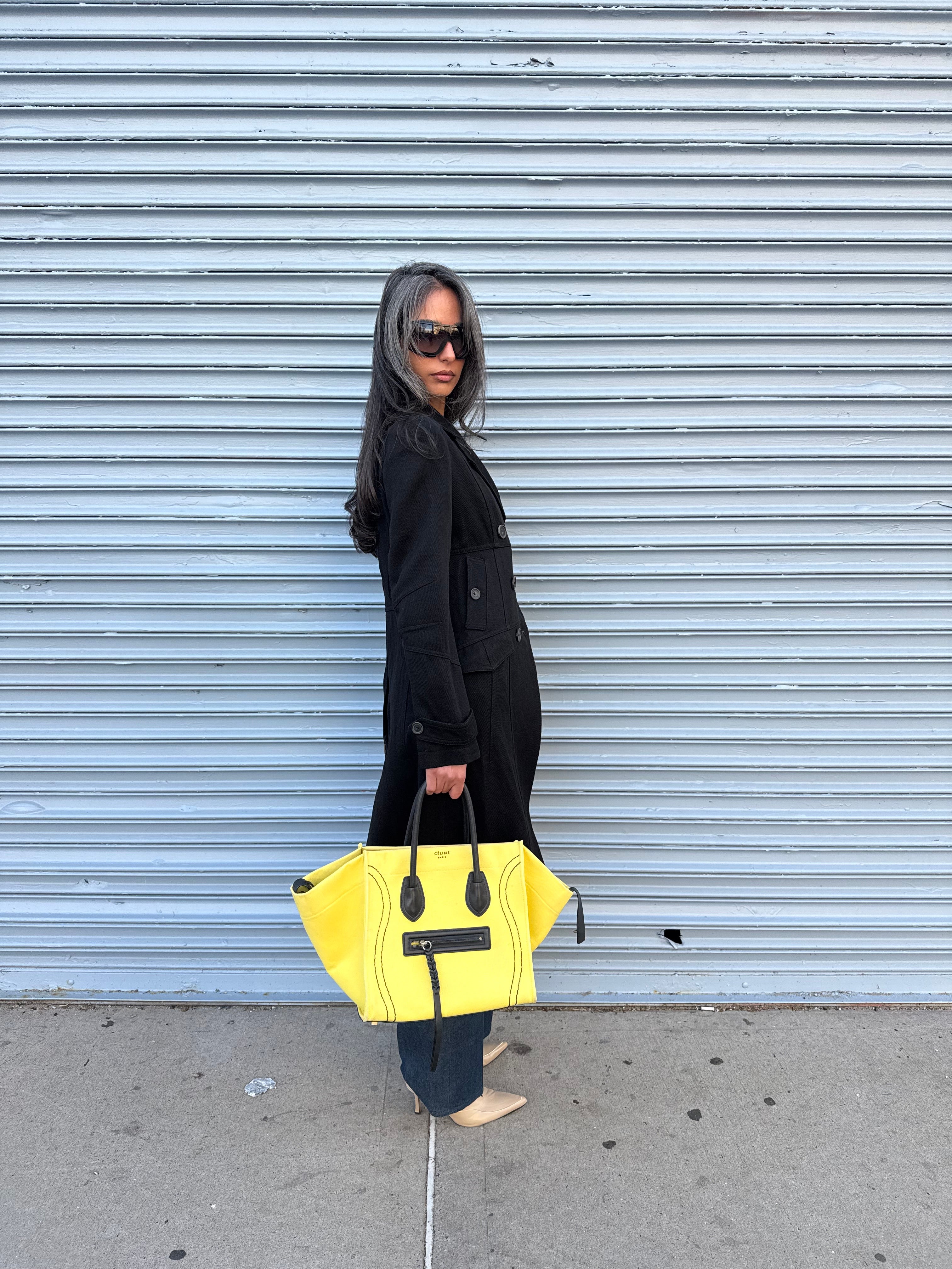 Celine Phantom Luggage Bag