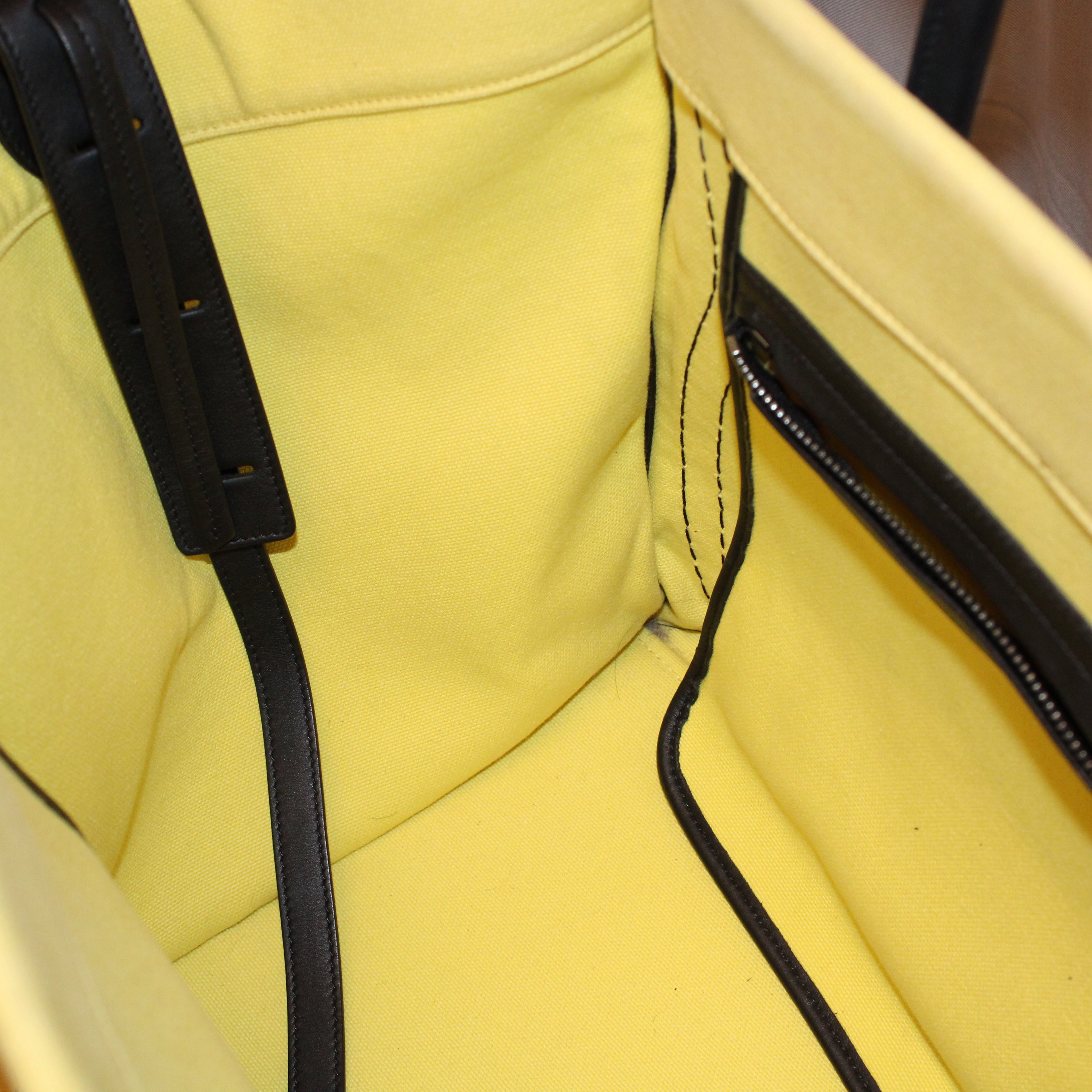 Celine Phantom Luggage Bag