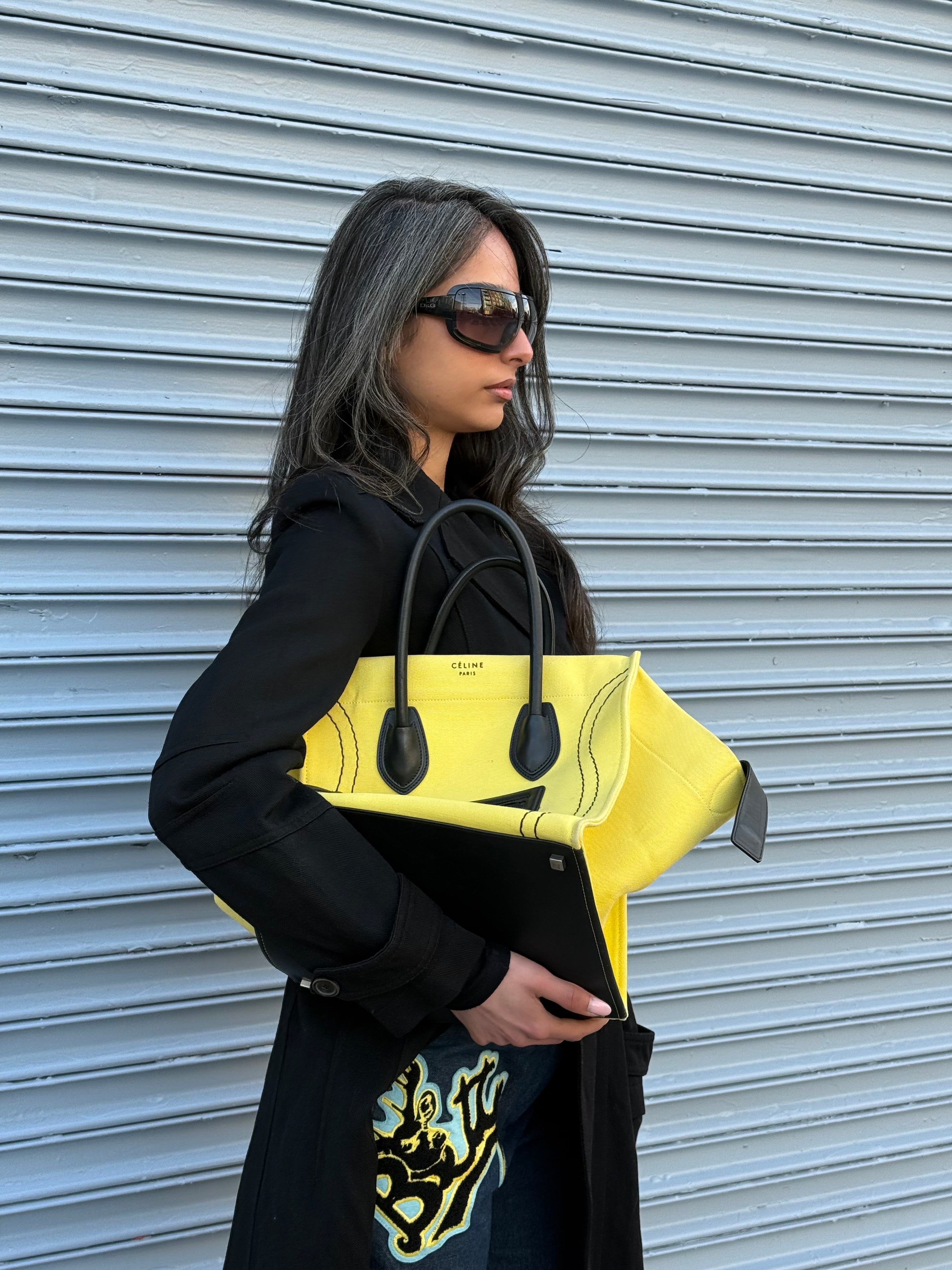 Celine Phantom Luggage Bag