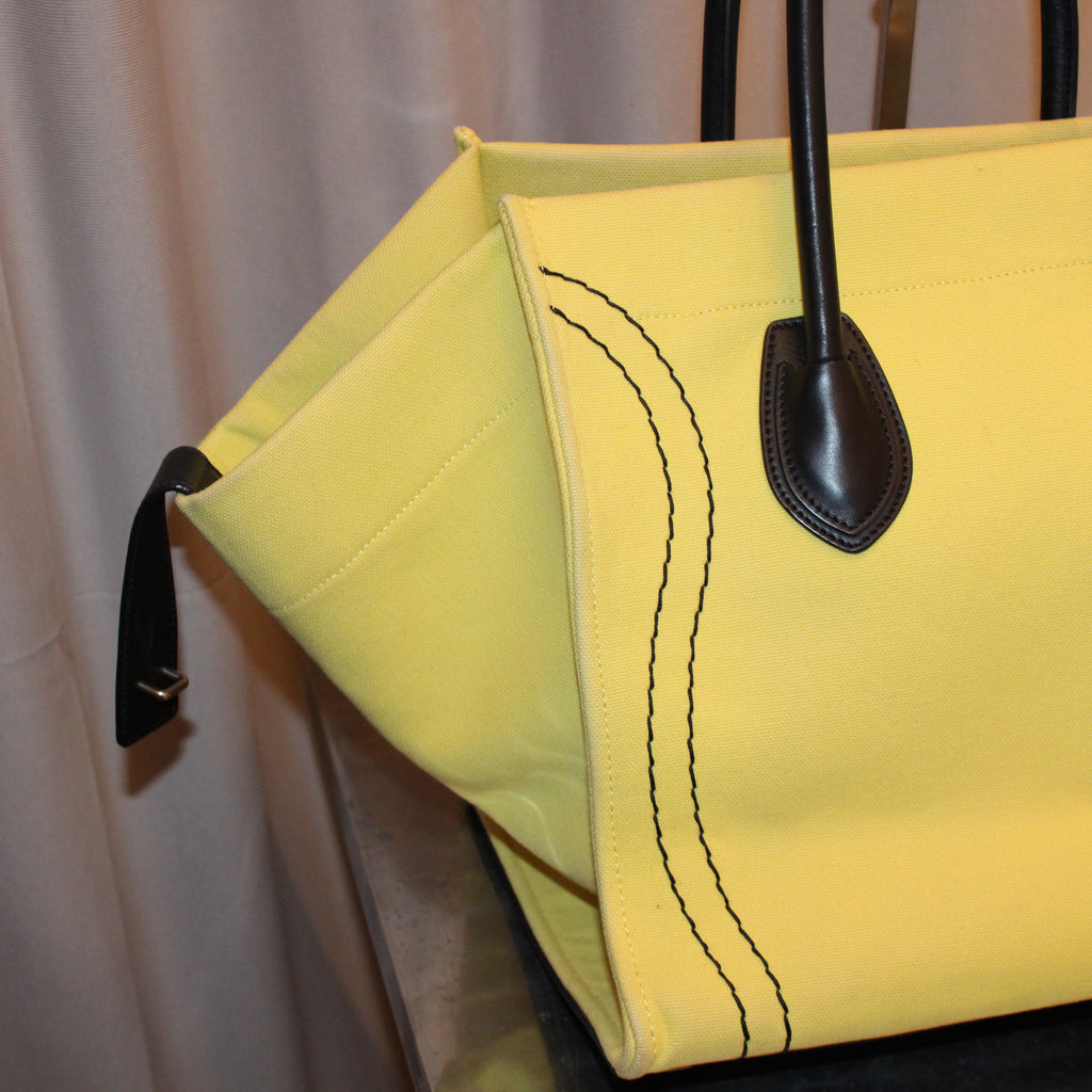 Celine Phantom Luggage Bag
