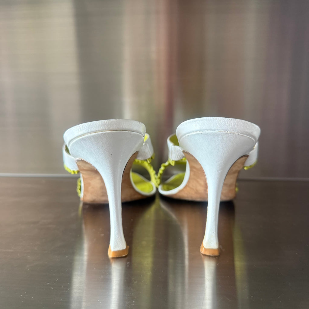 Manolo Blahnik Heels