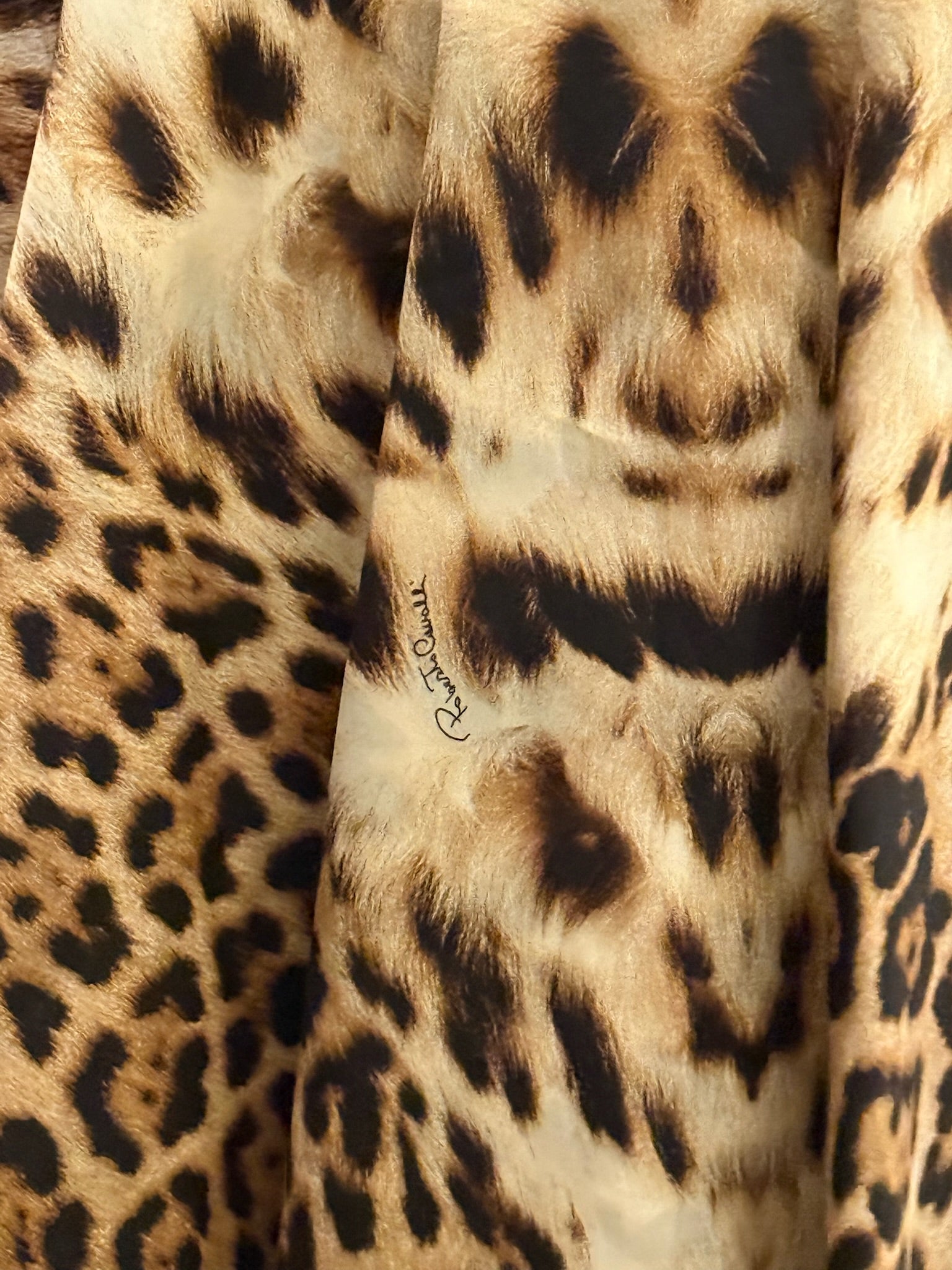 Roberto Cavalli Silk Leopard Print Skirt