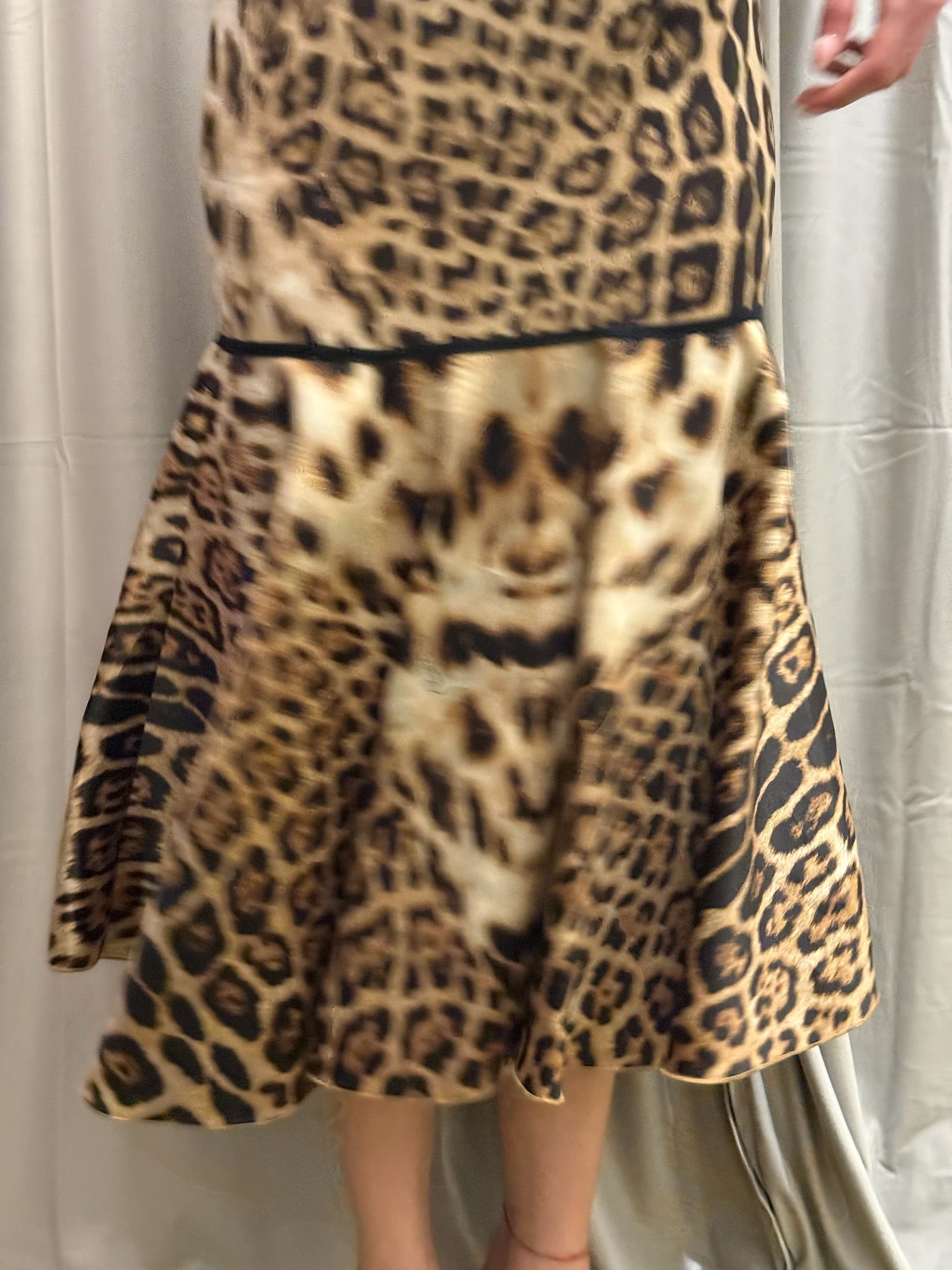Roberto Cavalli Silk Leopard Print Skirt