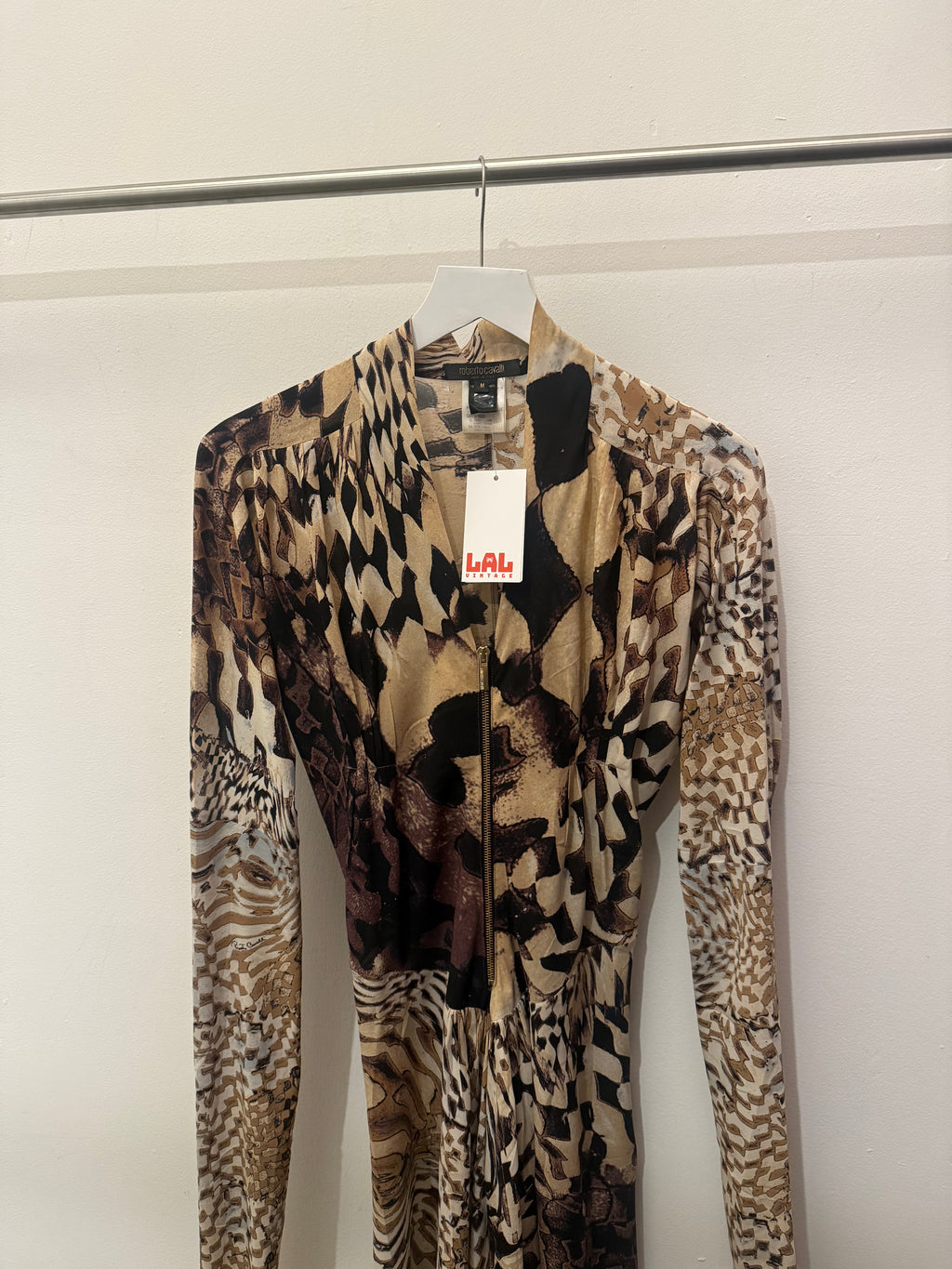 Roberto Cavalli FW 2003 Runway Dress