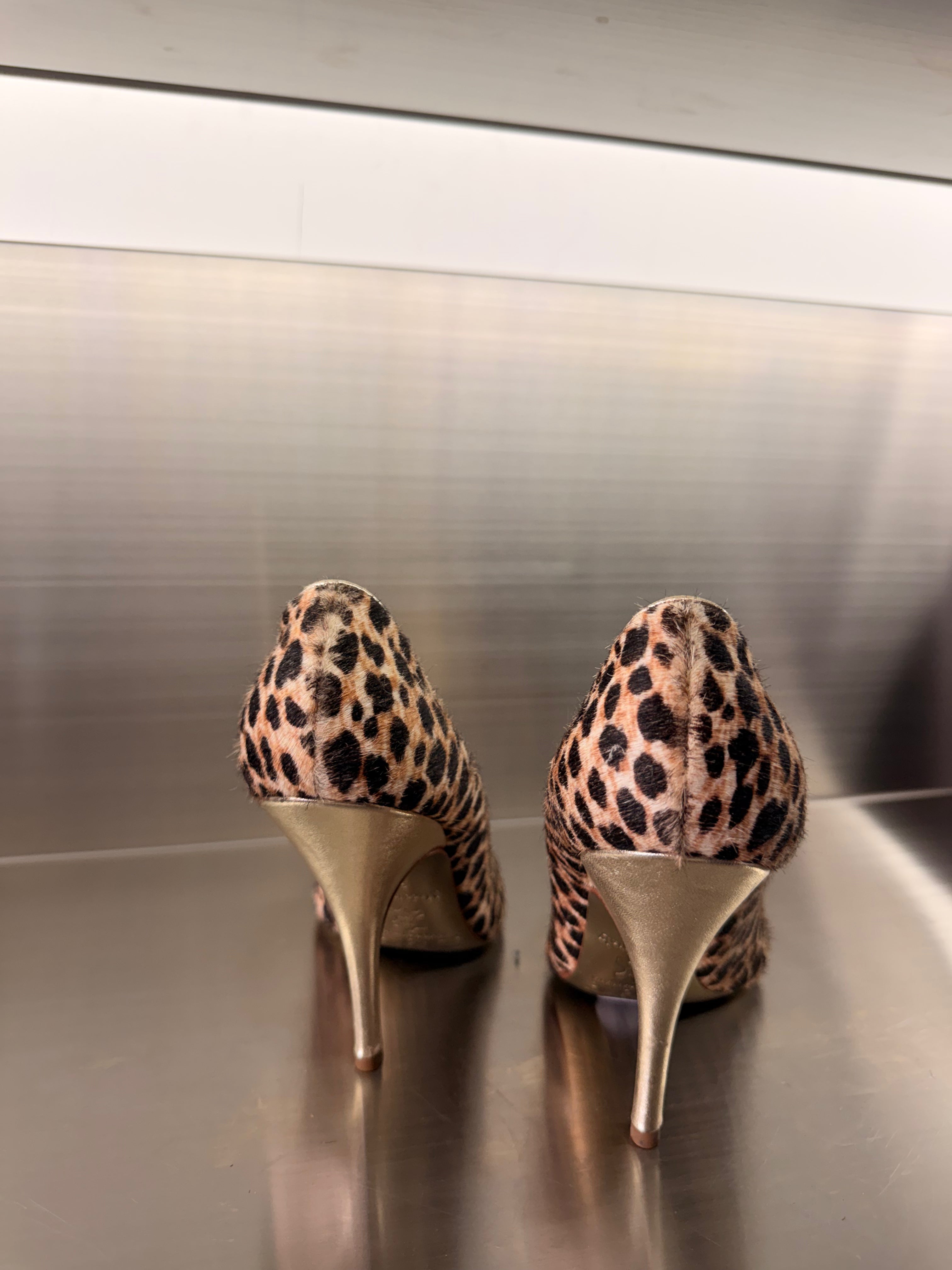 Dolce and Gabana Leopard Heels